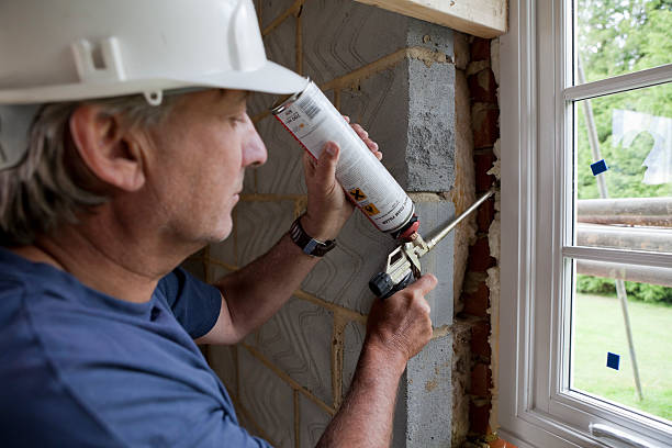 Best Insulation Maintenance and Repair in La Crescent, MN